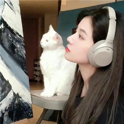 放心去飞